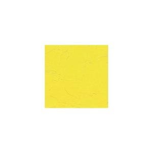 Gamblin Conservation Colors - Godet Kadmiyum Limon Sarısı (gr.4)